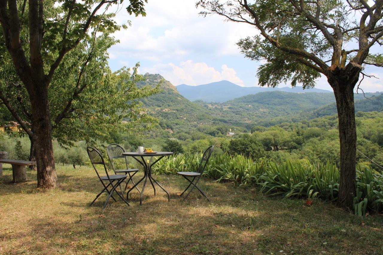Bed And Breakfast Le Pianore Cinigiano Εξωτερικό φωτογραφία