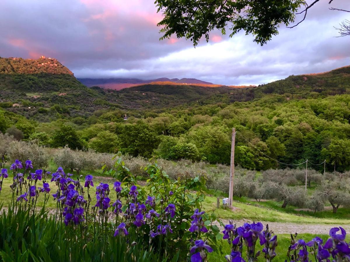 Bed And Breakfast Le Pianore Cinigiano Εξωτερικό φωτογραφία